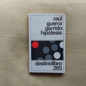 Hipótesis, de Raúl Guerra Garrido