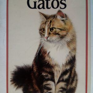Gatos, de Albert Pintera