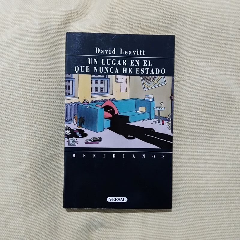 Un lugar en el que nunca he estado, de David Leavitt