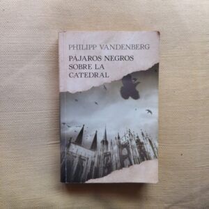Pájaros negros sobre la catedral, de Philipp Vandenberg