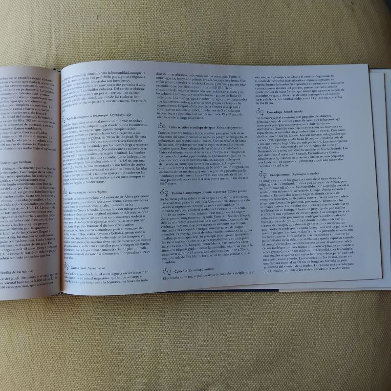 El último arca de Noé, de Mike Wilks - Imagen 2