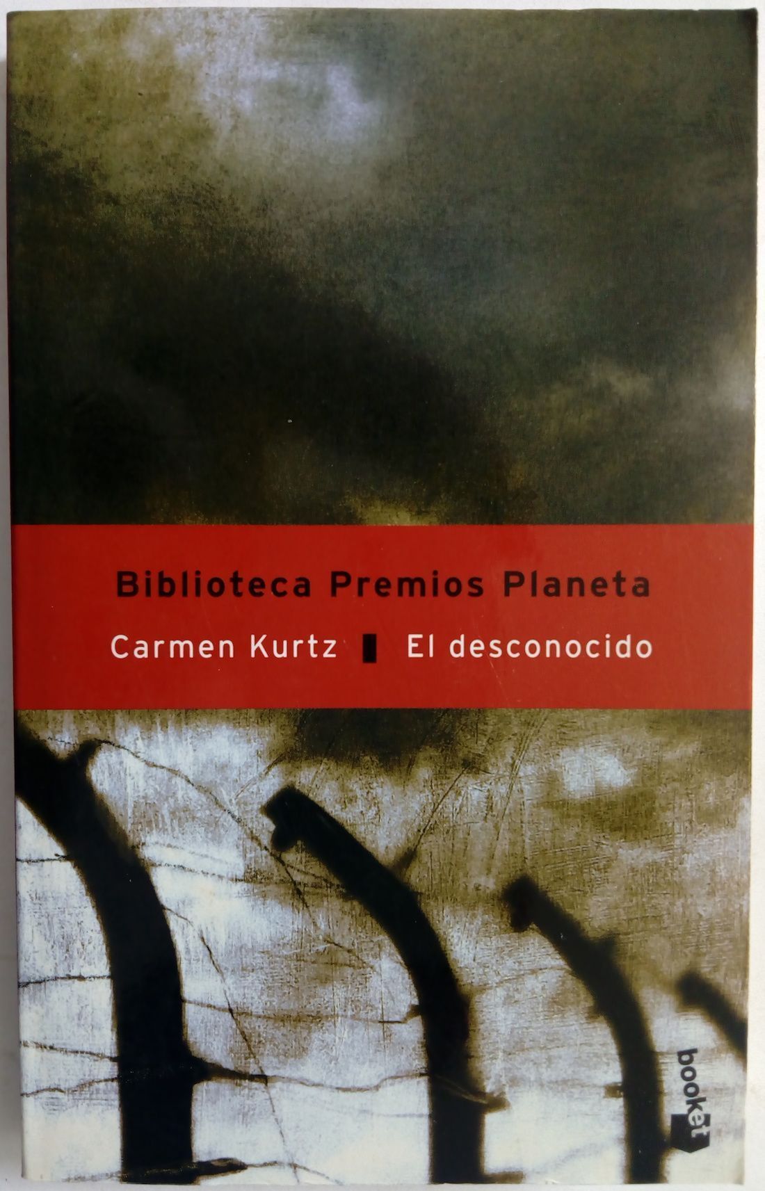 El desconocido, de Carmen Kurtz