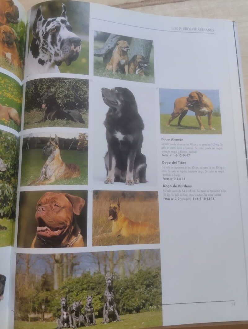 1000 imágenes de perros, de François Huart - Imagen 2
