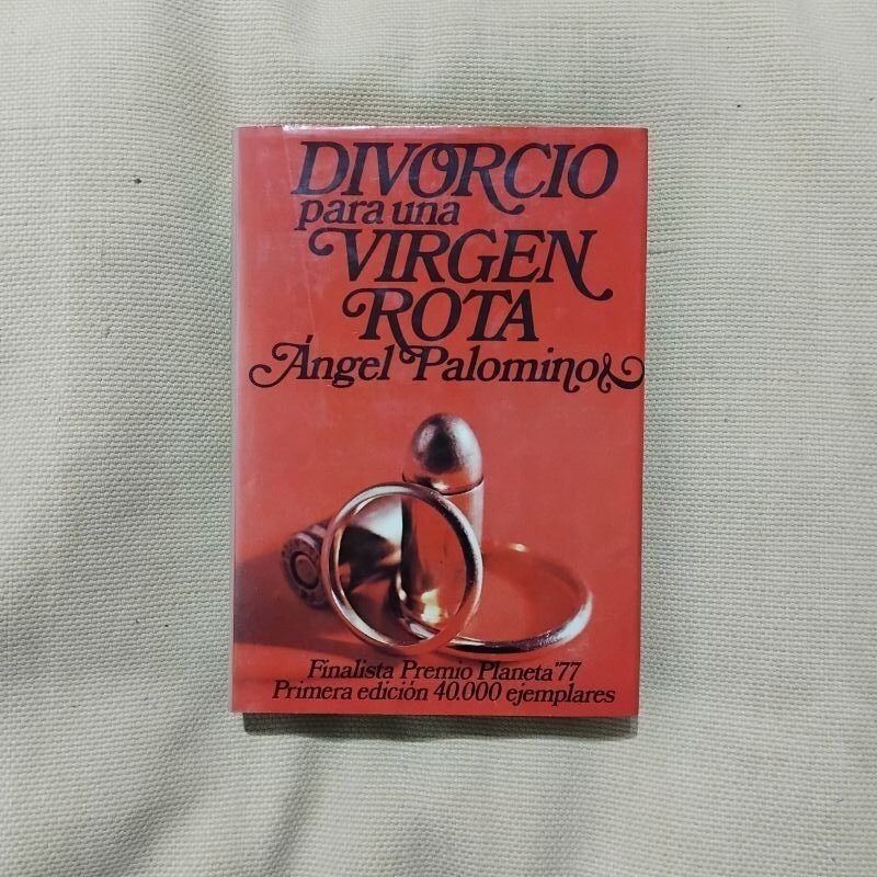 Divorcio para una virgen rota, de Ángel Palomino