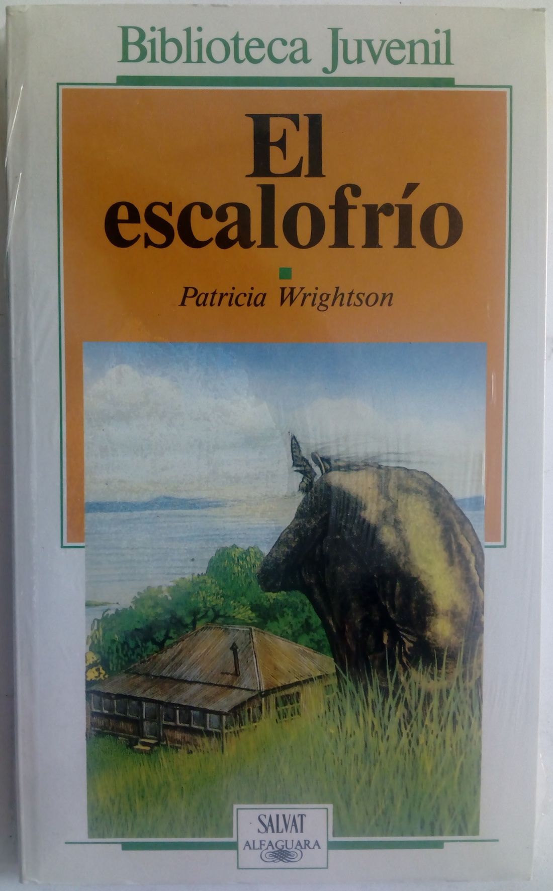 El escalofrío, de Patricia Wrightson