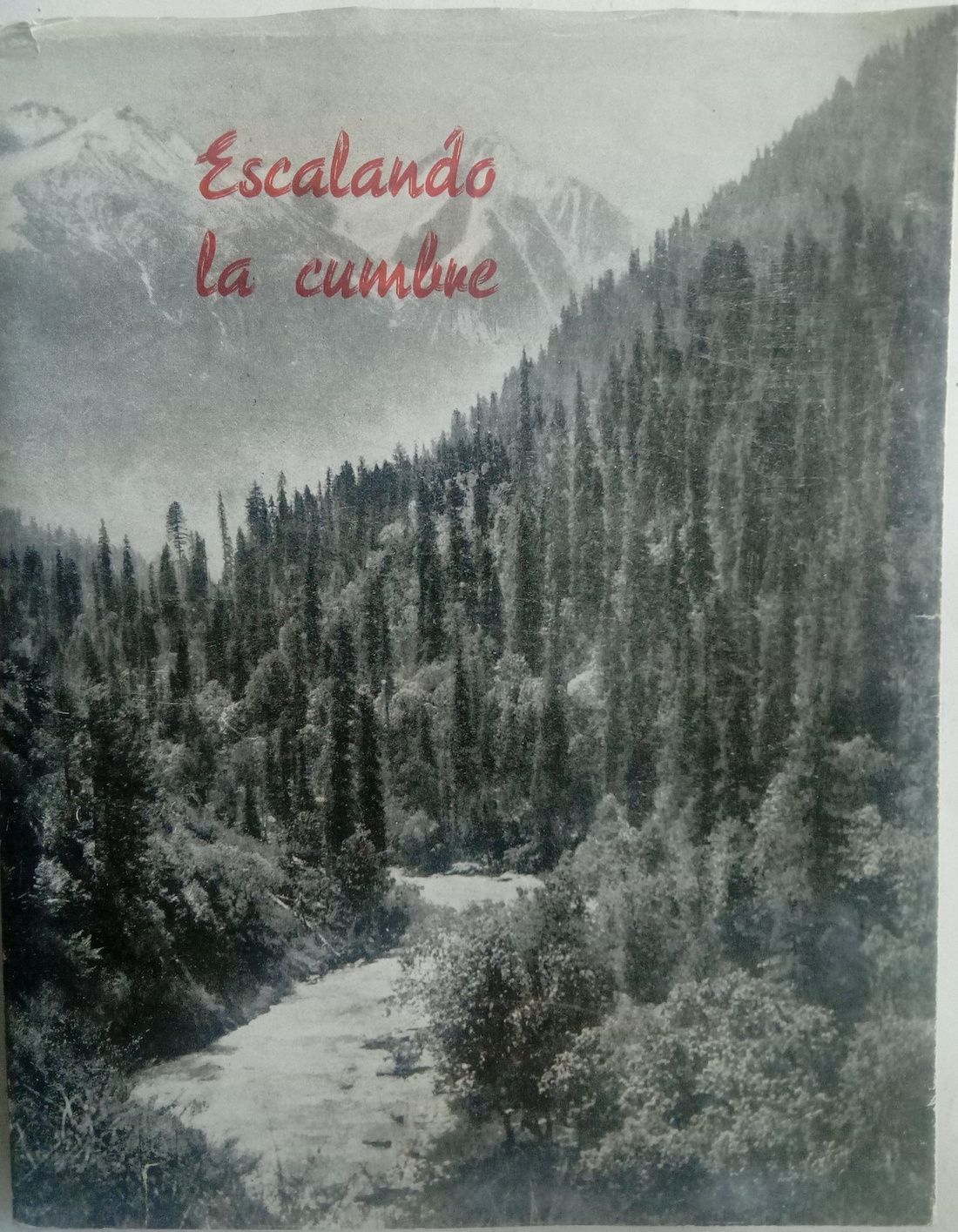 Escalando la cumbre, de Madre María Teresalina