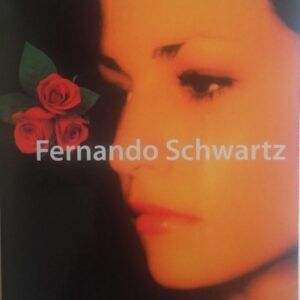 El desencuentro, de Fernando Schwartz