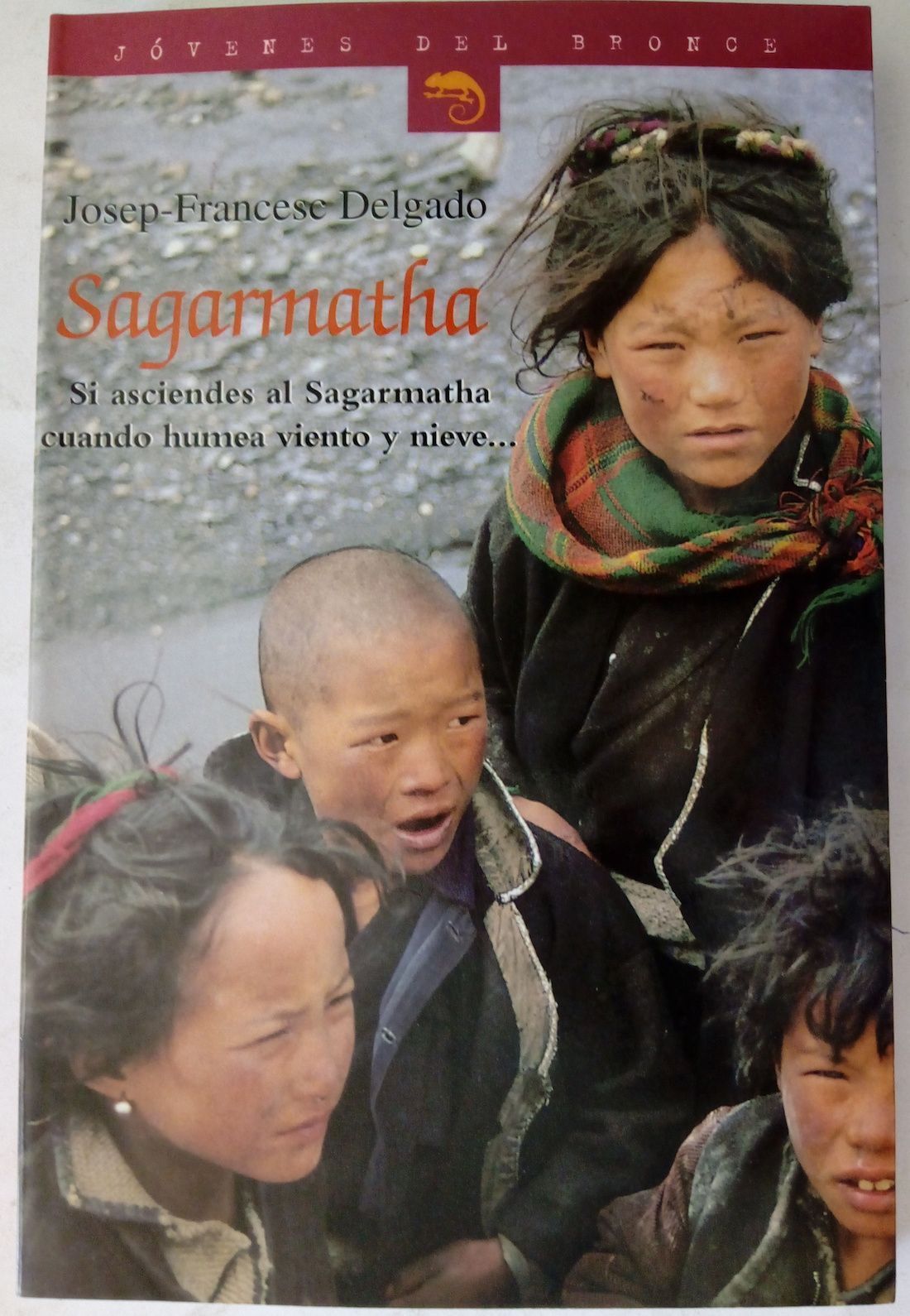 Sagarmatha. Si asciendes al Sagarmatha cuando humea viento y nieve, de Josep Francesc Delgado