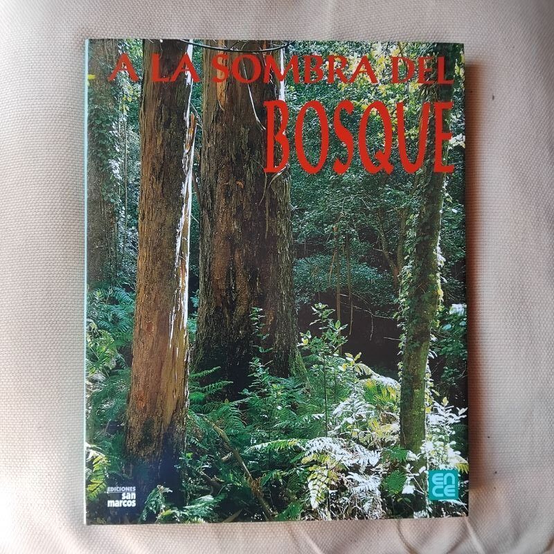 A la sombra del bosque / In Forest Shade (bilingüe español-inglés), de Miguel Ángel Cogolludo Agustín