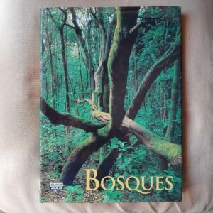 Bosques, de Juanjo Alonso