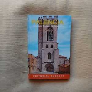 Palencia, de Cayetano Enríquez de Salamanca