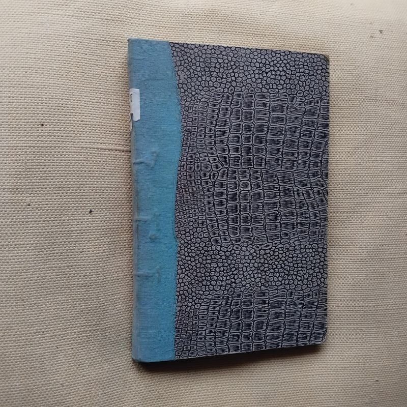 Pajarita de las nieves, de Augusto Martínez Olmedilla