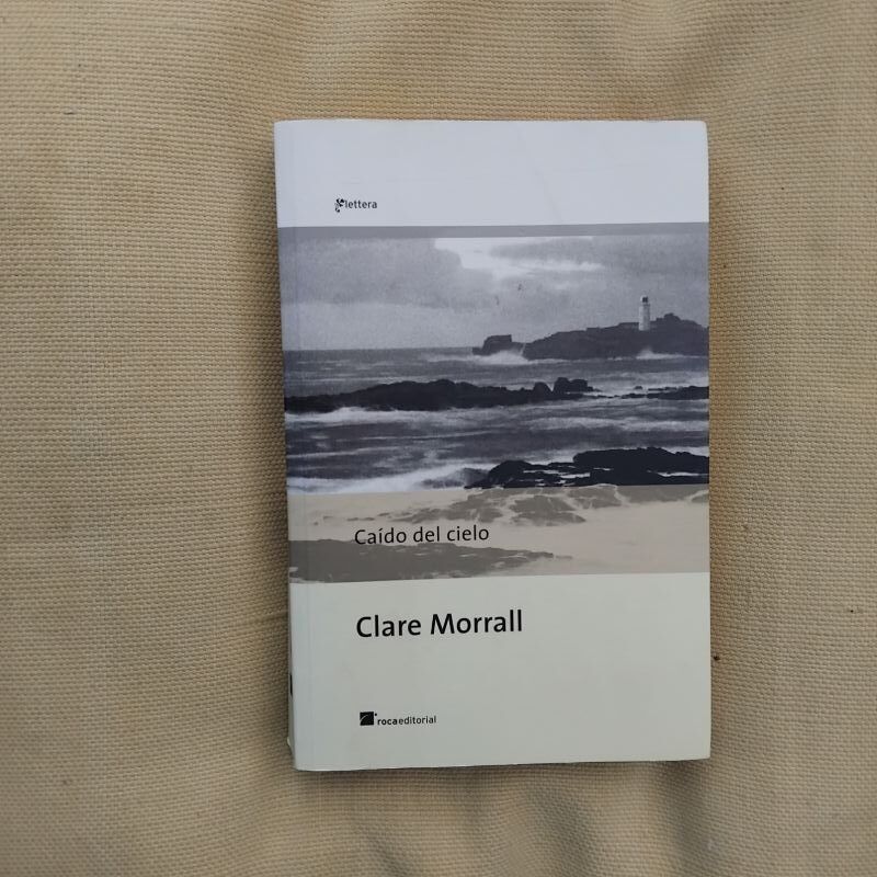 Caído del cielo, de Clare Morrall