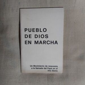 Pueblo de Dios en marcha. Un movimiento de respuesta a la llamada del Papa en el Año Santo