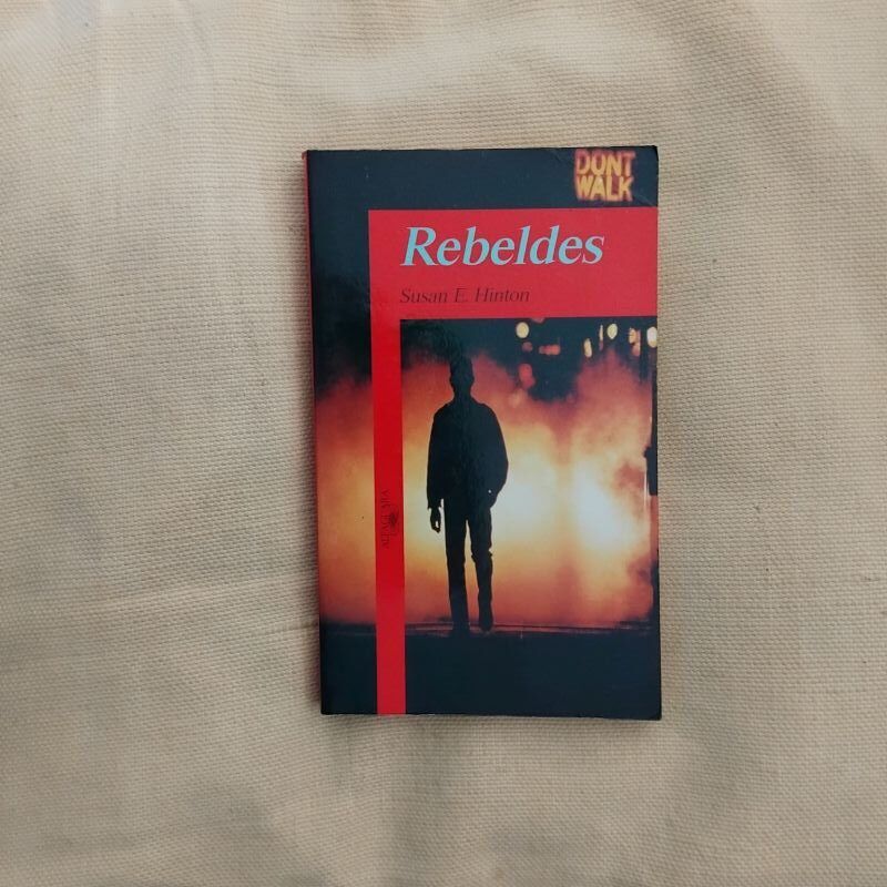 Rebeldes, de Susan E. Hinton