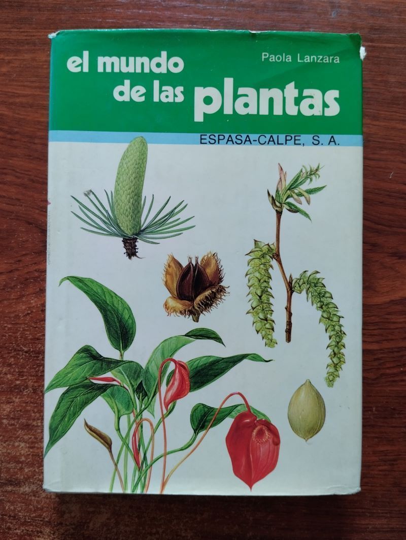 El mundo de las plantas, de Paola Lanzara