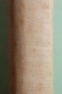 The Betrayer, by Violet Needham