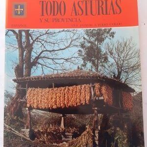 Todo Asturias y su provincia