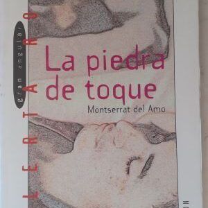 La piedra de toque. La lucha de alguien diferente, de Montserrat del Amo