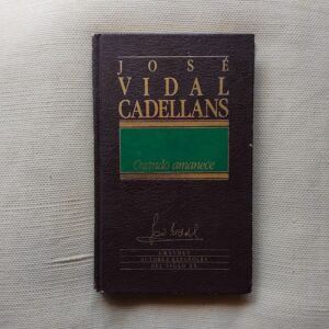 Cuando amanece, de José Vidal Cadellans