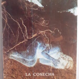 La cosecha, de Julia García Héctor