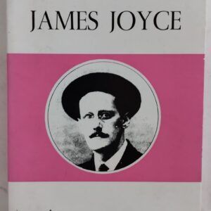 James Joyce, de Manuel Arturo Vargas
