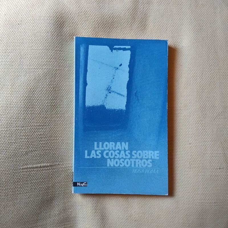 Lloran las cosas sobre nosotros, de Rosa Romá