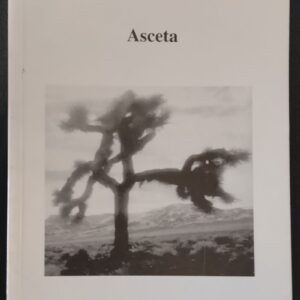 Asceta, de Alfonso Berrocal
