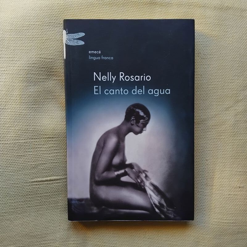 El canto del agua, de Nelly Rosario