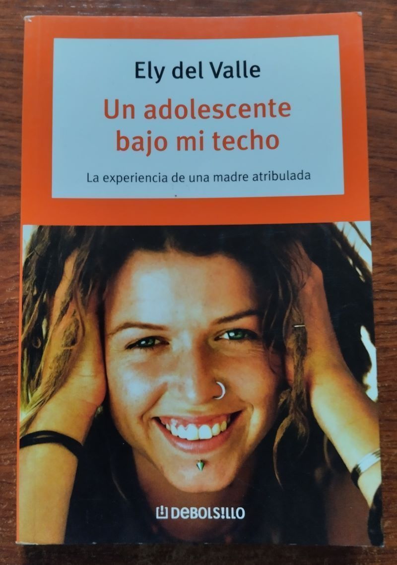Un adolescente bajo mi techo, de Ely del Valle