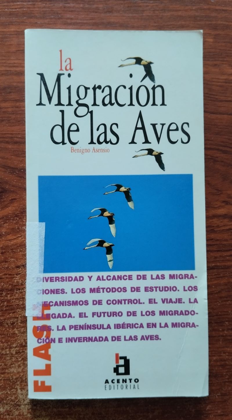 La migración de las aves, de Benigno Asensio