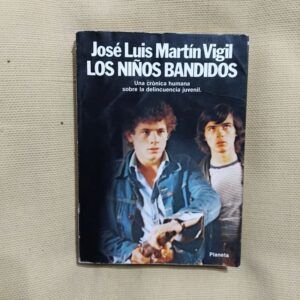 Los niños bandidos, de José Luis Martín Vigil