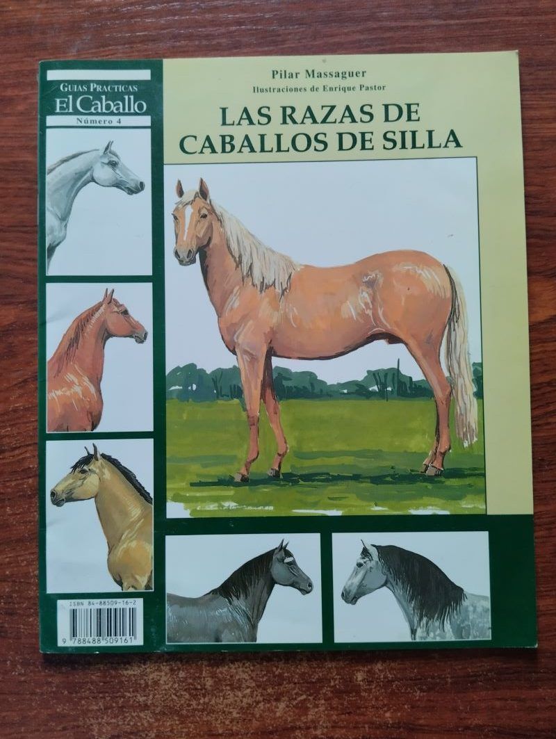 Las razas de caballos de silla, de Pilar Massaguer
