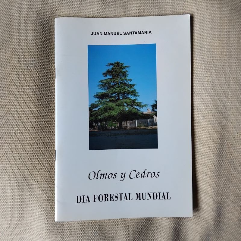 Olmos y cedros. Día Forestal Mundial, de Juan Manuel Santamaría