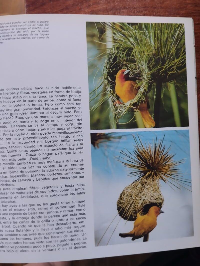 Enciclopedia infantil Carroggio. 10 tomos (completa) - Imagen 3