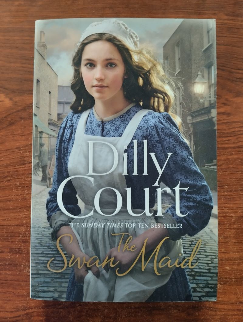 The Swan Maid, by Dilly Court