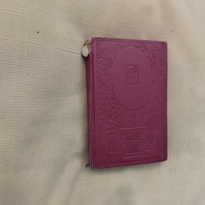 Flor de Lis. Novela de aventuras, guerras y amores, de la Baronesa de Orczy