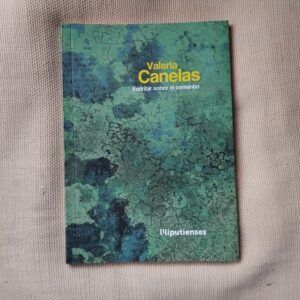 Escribir sobre el cemento, de Valeria Canelas