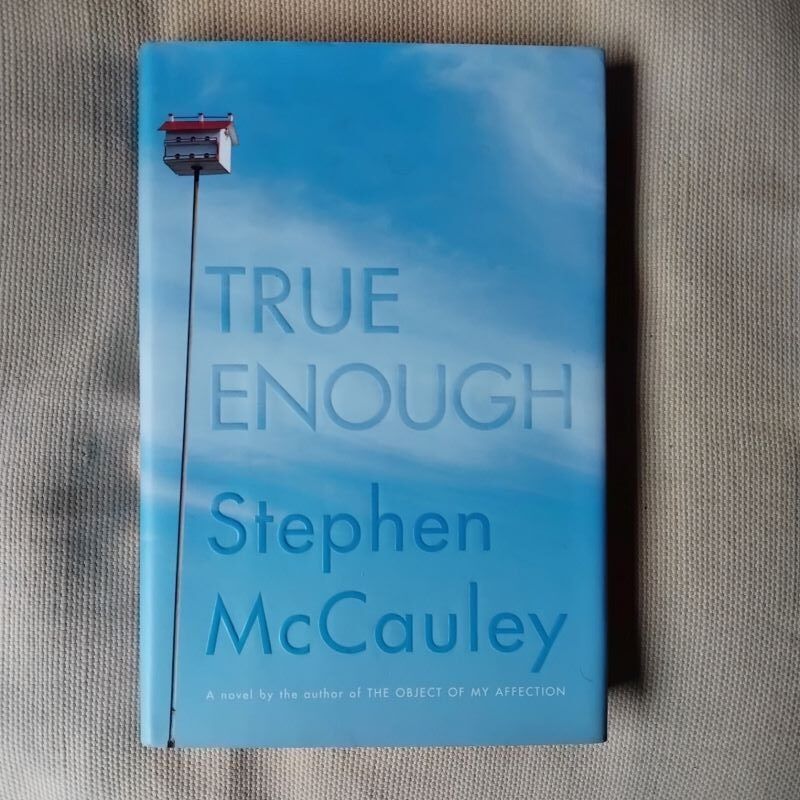 True Enough, by Stephen McCauley