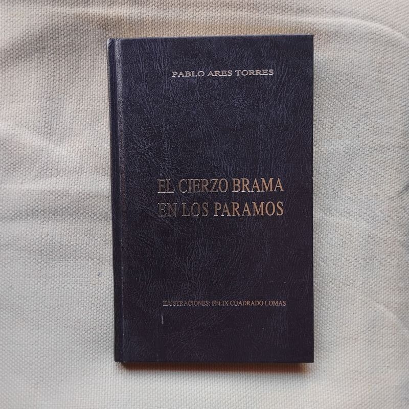 El cierzo brama en los páramos, de Pablo Ares Torres