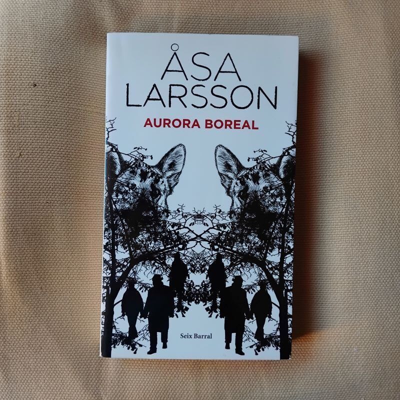 Aurora boreal, de Asa Larsson