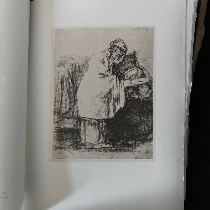 Nuevos caprichos de Goya - Imagen 2