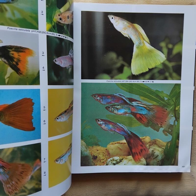Atlas de peces de acuario de agua dulce - Imagen 2
